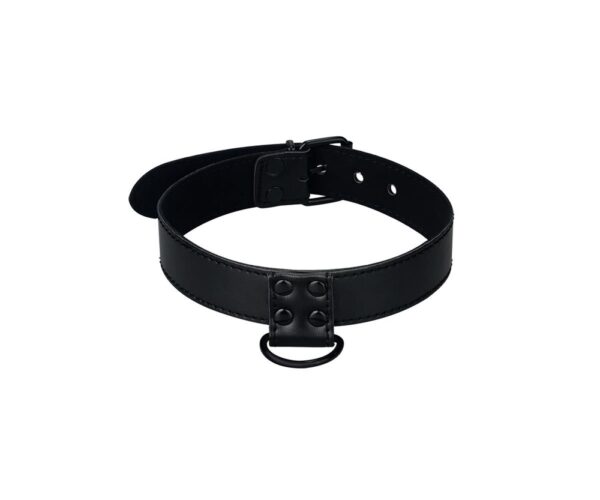 collar-with-leash-black-matt-2