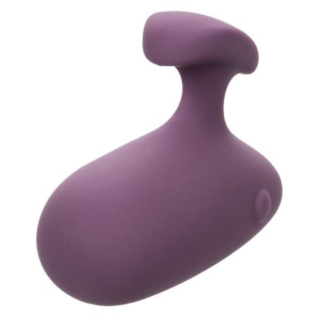 14335-PURPLE-01